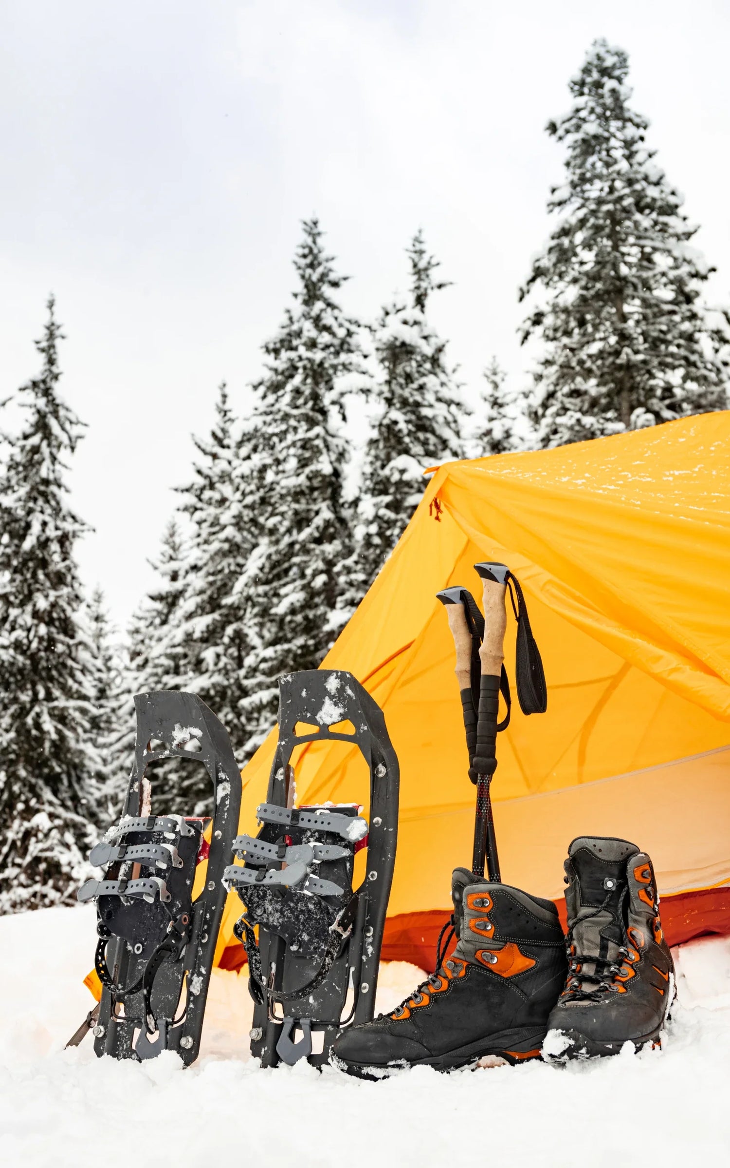 Snow Gear